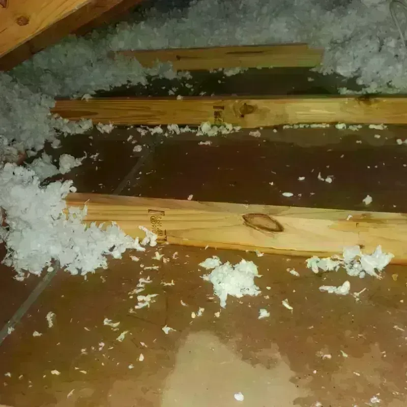 Attic Water Damage in Ainaloa, HI